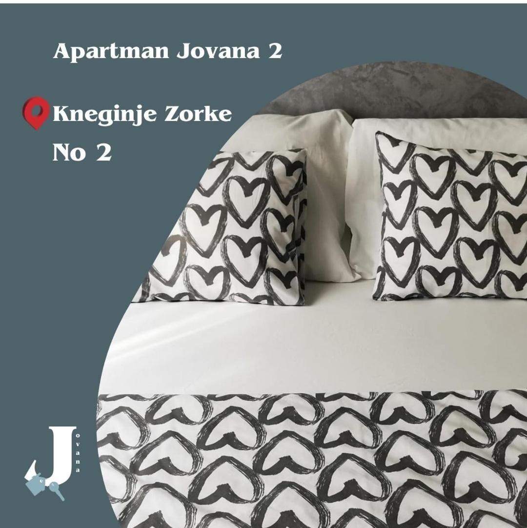 Apartman Jovana 2 贝尔格莱德 外观 照片